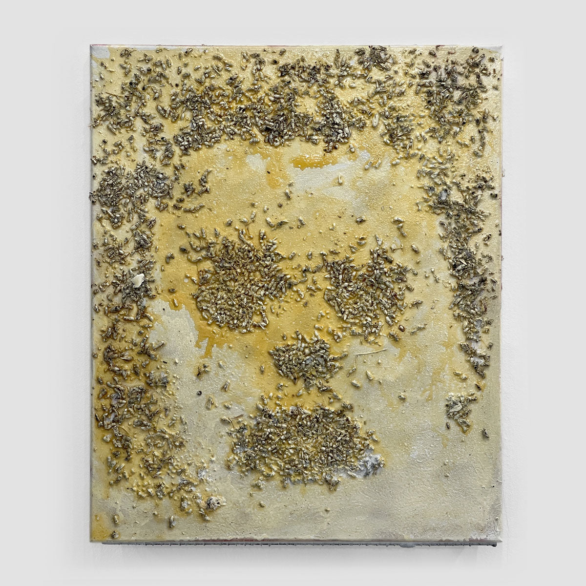 Christian Eisenberger artwork Insects on canvas