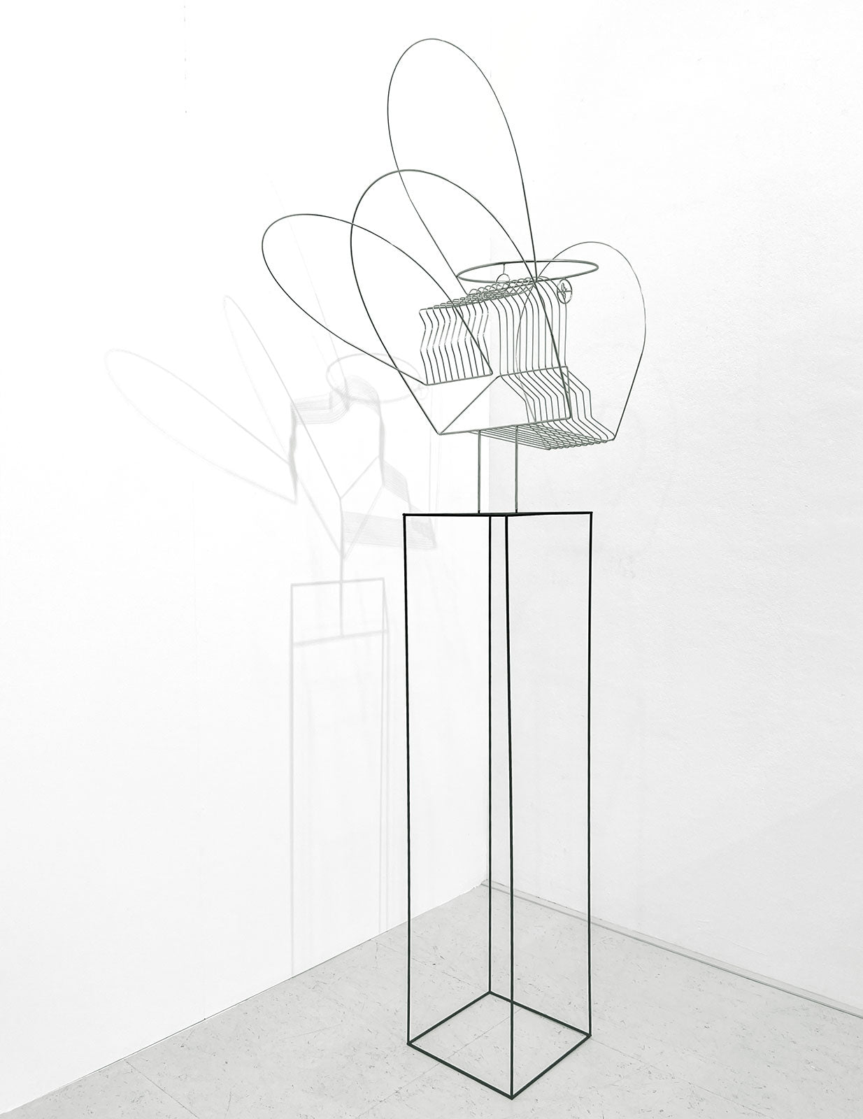 Constantin Luser